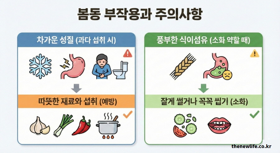 봄동 섭취 시 부작용과 주의사항 인포그래픽. 차가운 성질로 인한 복통 예방을 위한 따뜻한 식재료 궁합, 소화 불량 방지를 위한 올바른 섭취법