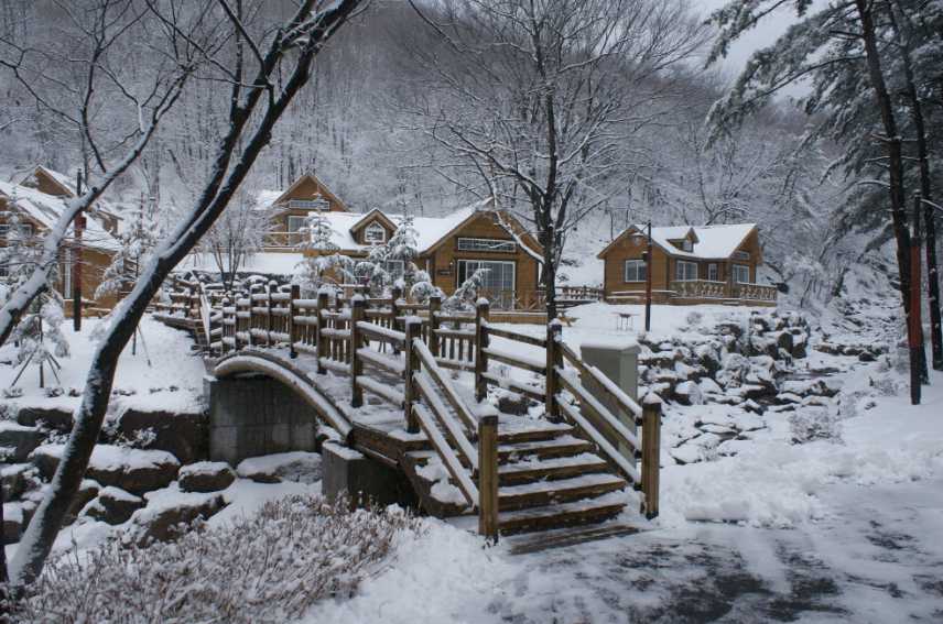 용인자연휴양림-예약-숙박시설-겨울
