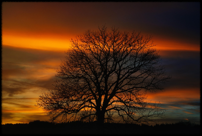 명절 스트레스, 사춘기 자녀와 건강하게 풀기 (공감, 루틴, 표현법)