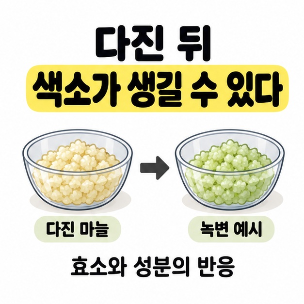 아이보리색 다진마늘에서 연녹색 다진마늘로 이어지는 화살표와 효소와 성분의 반응이라는 설명으로 색소 형성을 보여 준 그림