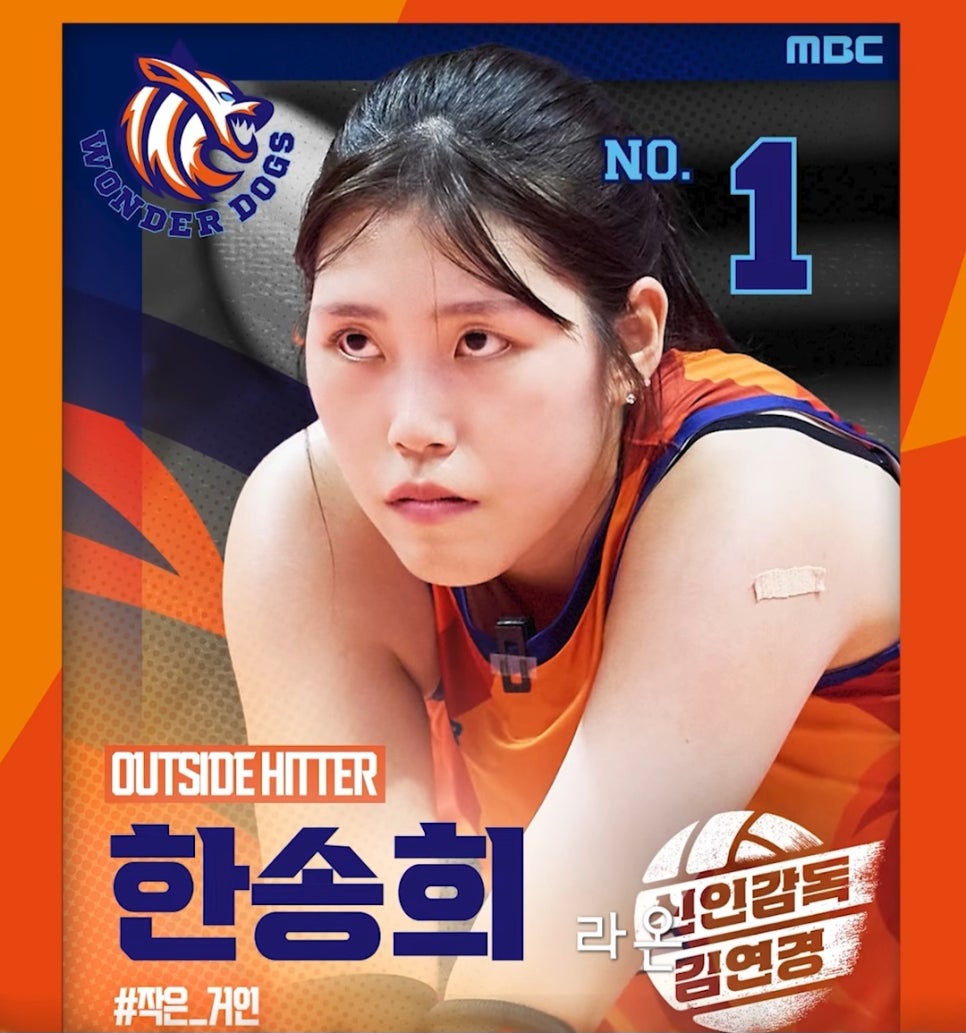 김연경-감독-원더독스-선수단-정보-총정리