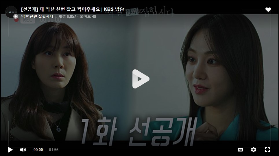 KBS 월화드라마 멱살 한번 잡힙시다 등장인물 : 출연진, 재방송