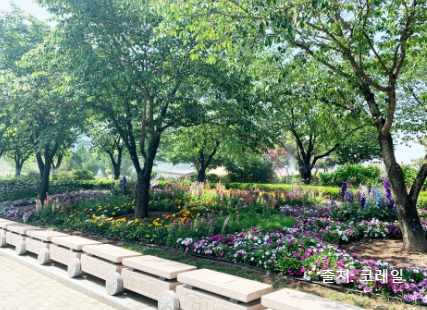 기차마을레일바이크