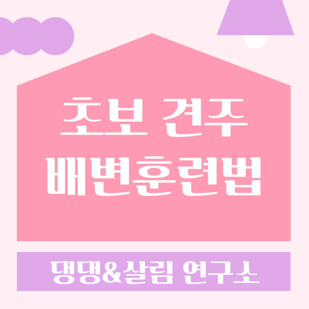 강아지배변훈련