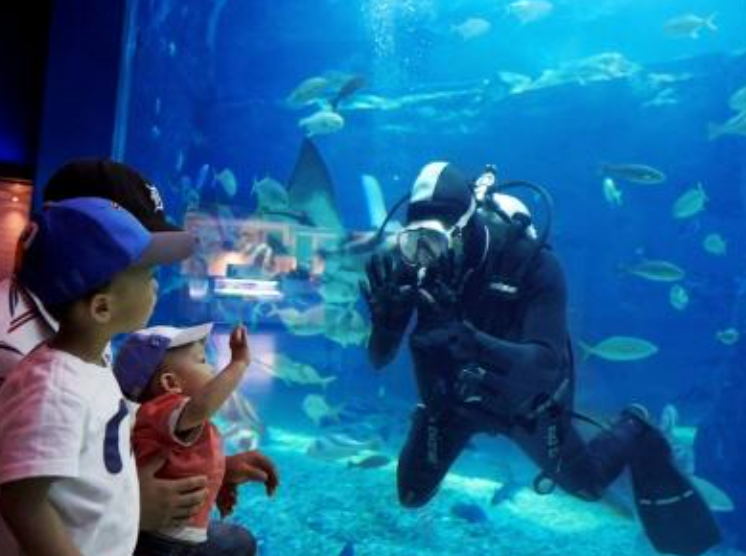 여수 가볼만한곳 베스트10