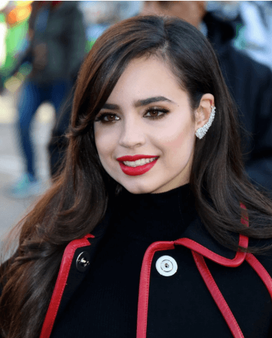 소피아 카슨 캐리온 BTS 지민 퍼플하트 비트를 느껴봐 남편