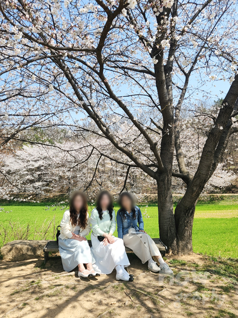 충남-당진-피어라-카페