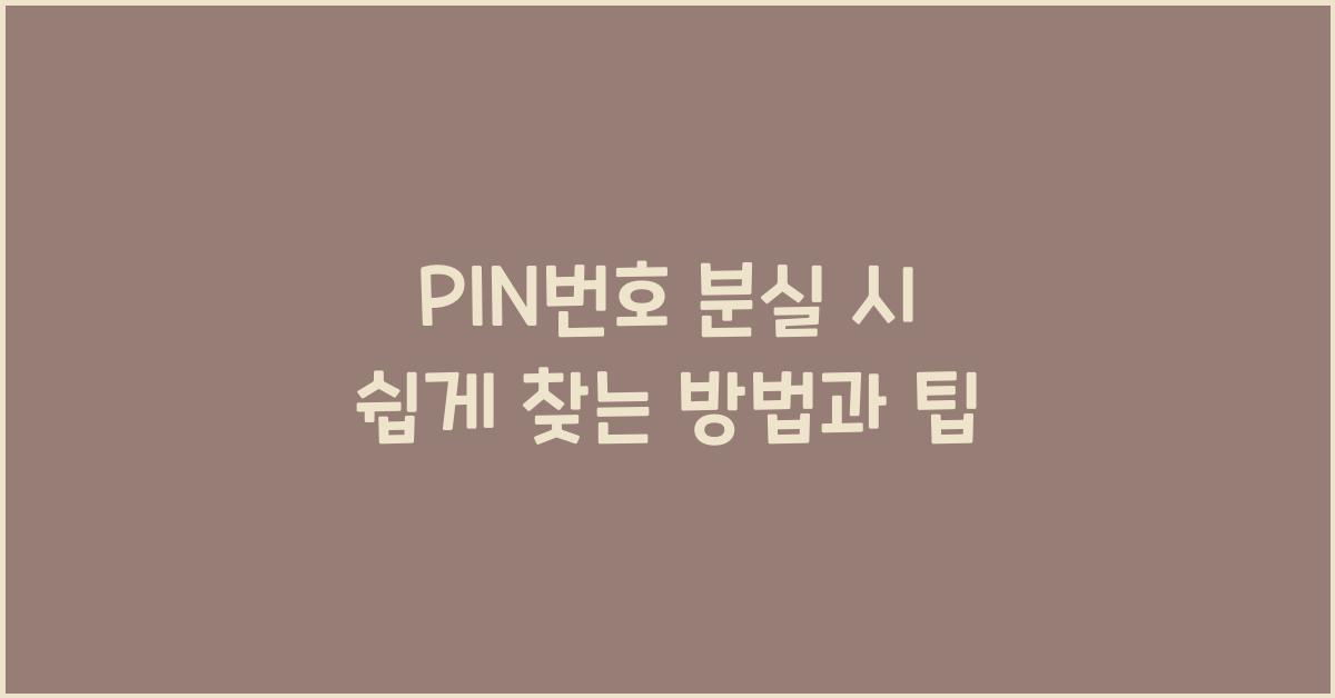 Pin번호