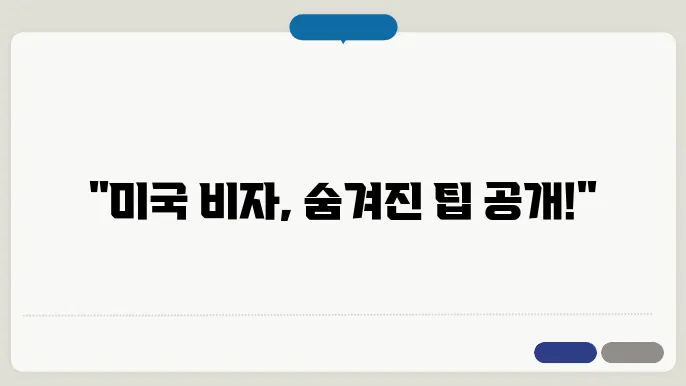 미국 비이민 비자 신청