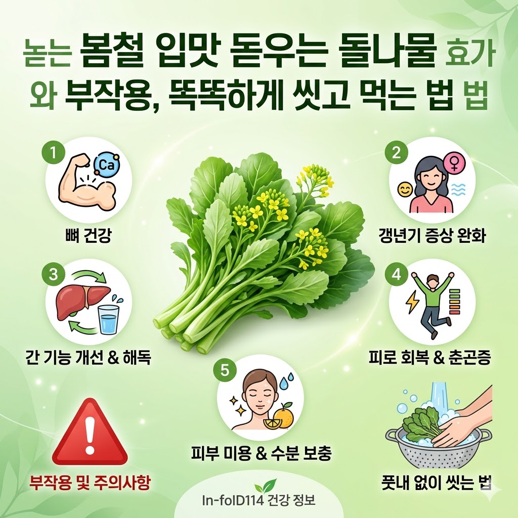 돌나물 효능