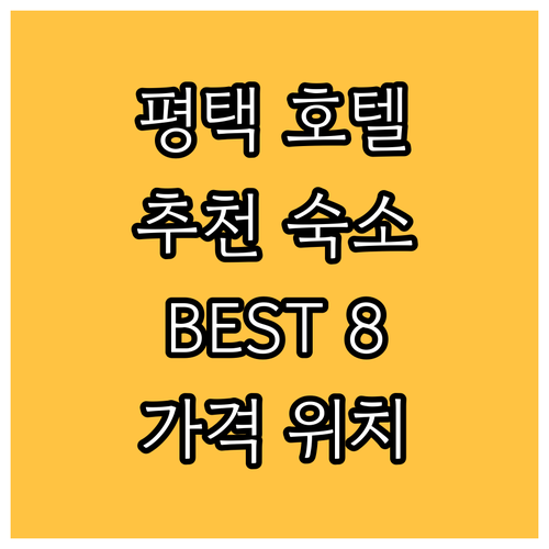 평택 호텔 추천 숙박 리뷰 BEST 