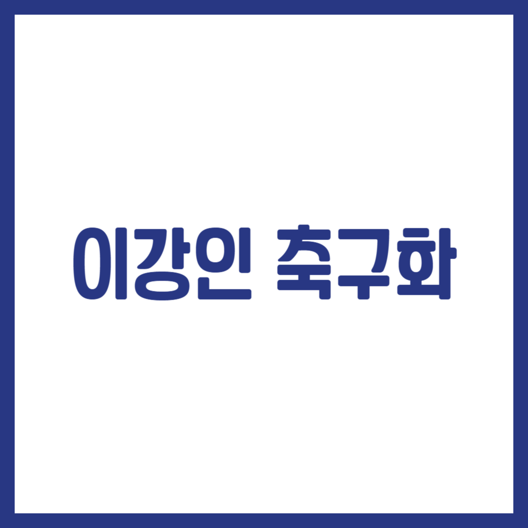 이강인 축구화