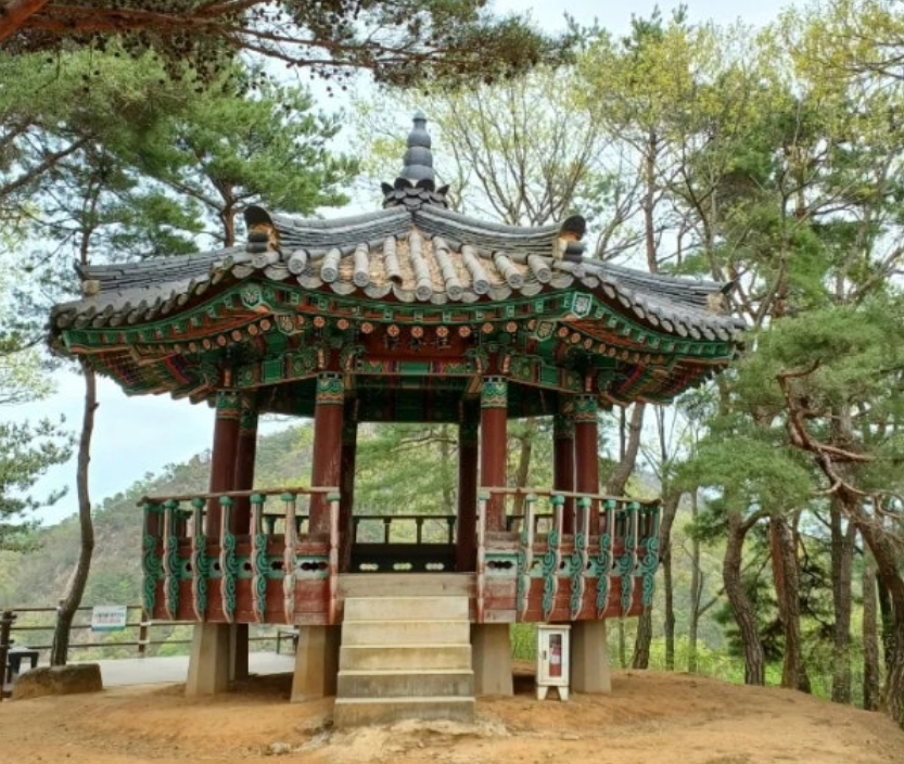 전망대, 장태루