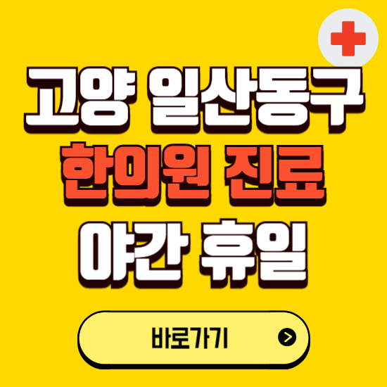 고양시 일산동구 야간 휴일 한의원 한방병원 찾기 ❘ 24시 일요일 주말 연휴 응급진료 추천 잘하는 곳