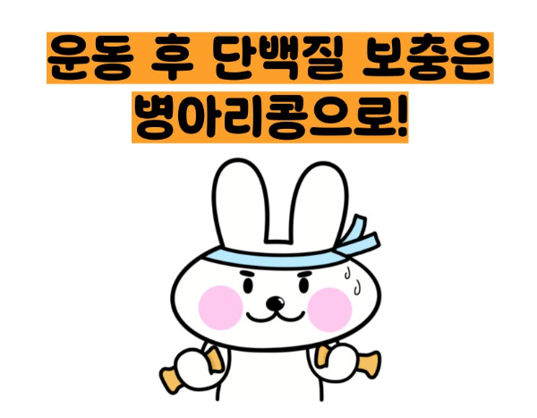 병아리콩 효능 부작용