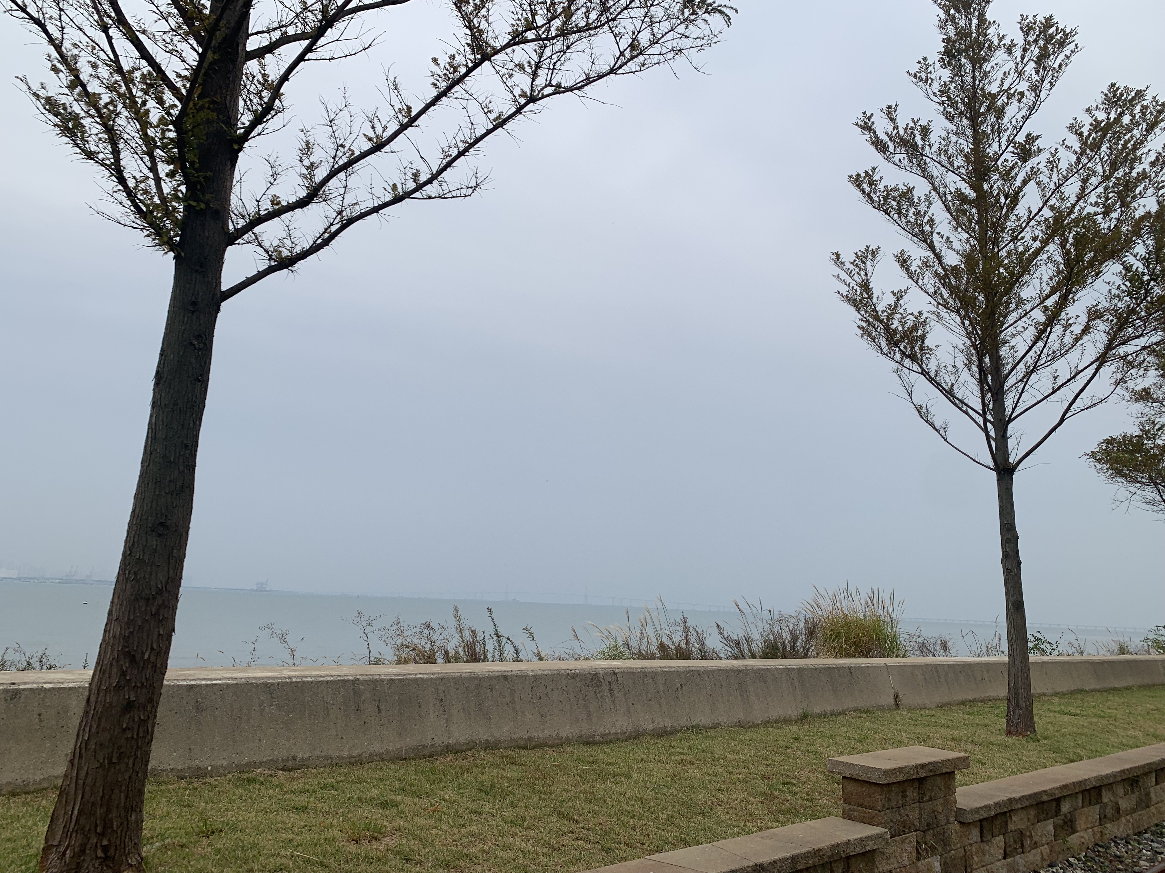 영종도 레일바이크