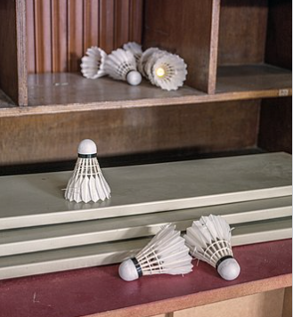 배드민턴 입문자를 위한 완벽 가이드-셔틀콕