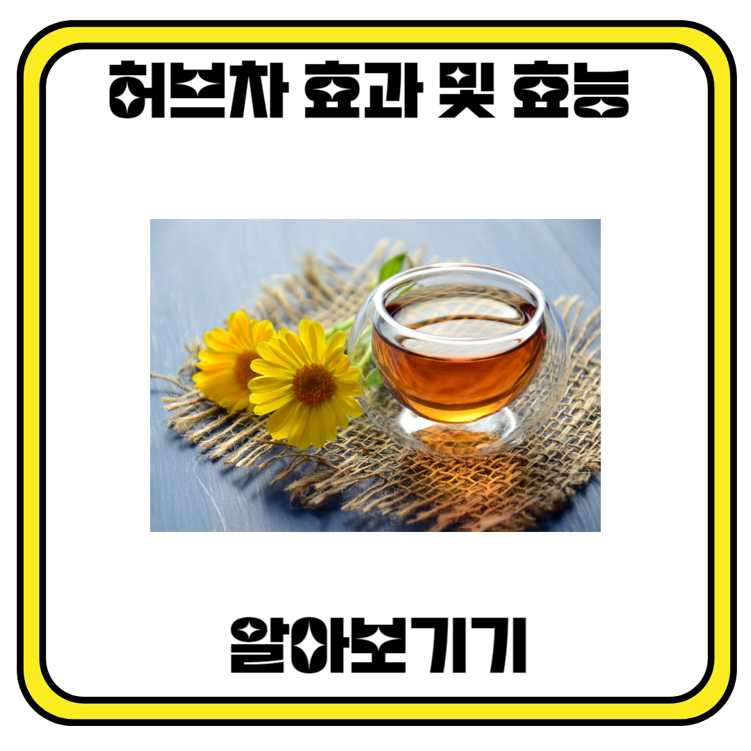 허브차의 효과와 효능