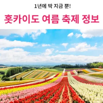 홋카이도 여름 여행코스 4박5일 일정과 맛집 정보 정리_12