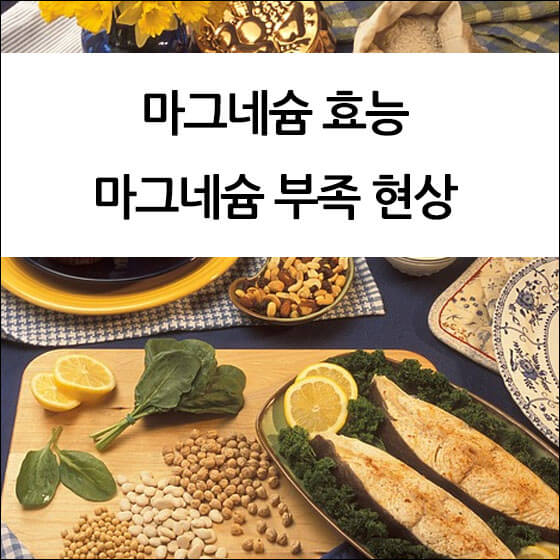 마그네슘이 많은 음식이 차려진 식탁