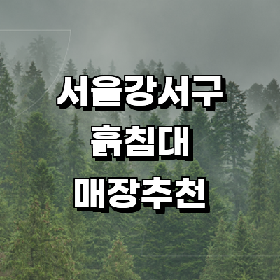 서울 강서구 흙침대