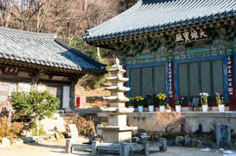 서산 개심사 청벚꽃 개화시기 명소_15