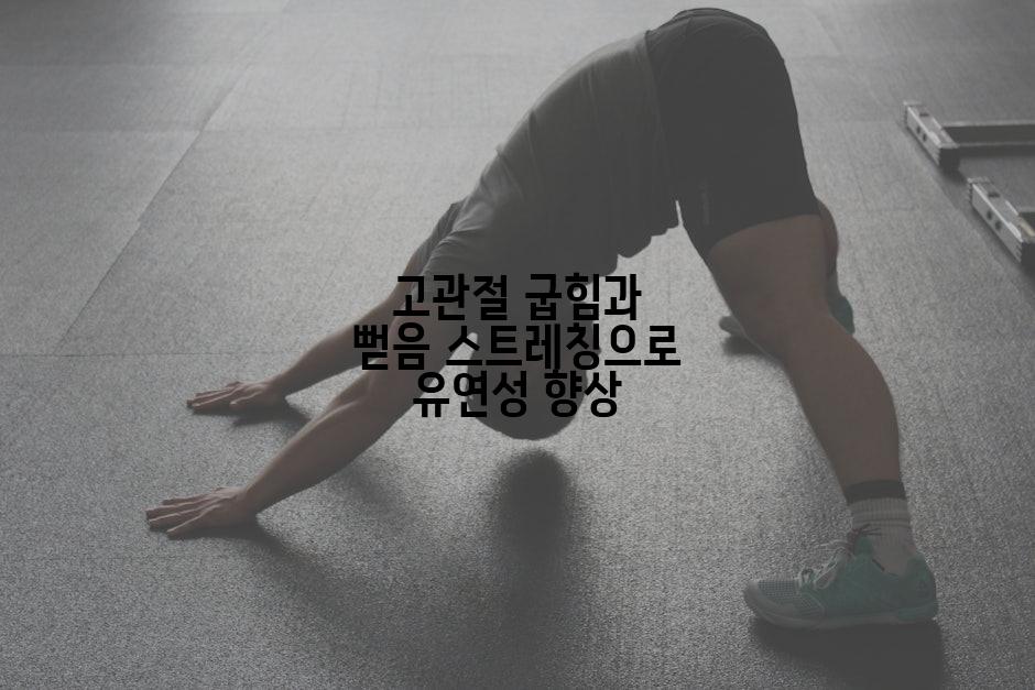 고관절 굽힘과 뻗음 스트레칭으로 유연성 향상