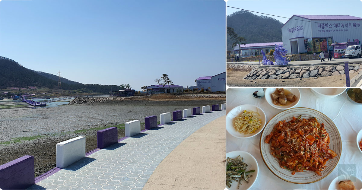 물 빠진 퍼플섬