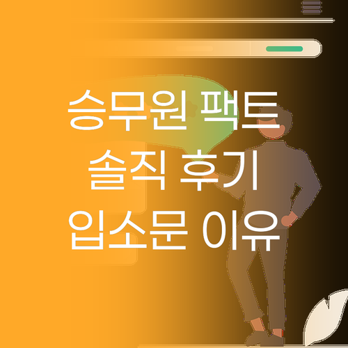 승무원 팩트, 왜 입소문 났을까? 솔