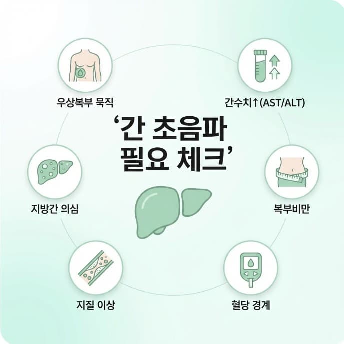 간 초음파가 필요한 상황(간수치 상승, 복부비만, 혈당·지질 이상 등)을 체크리스트로 정리한 인포그래픽