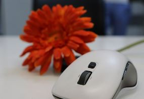 신용점수 올리는 방법 신용점수 조회