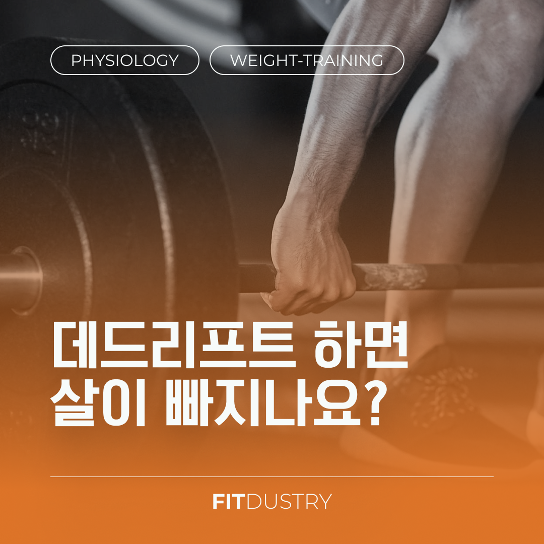 데드리프트 하면 살이 빠지나요?