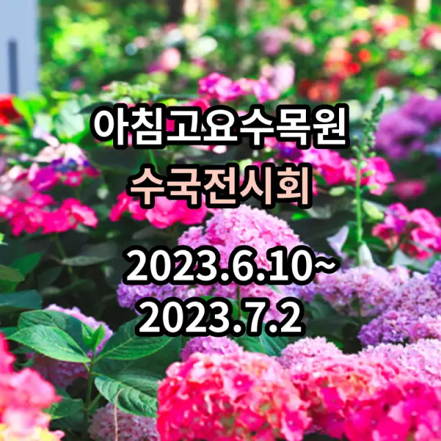 아침고요수목원-수국전시회-정보안내입니다