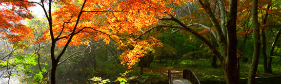 단풍여행 단풍트레킹 당일버스 여행