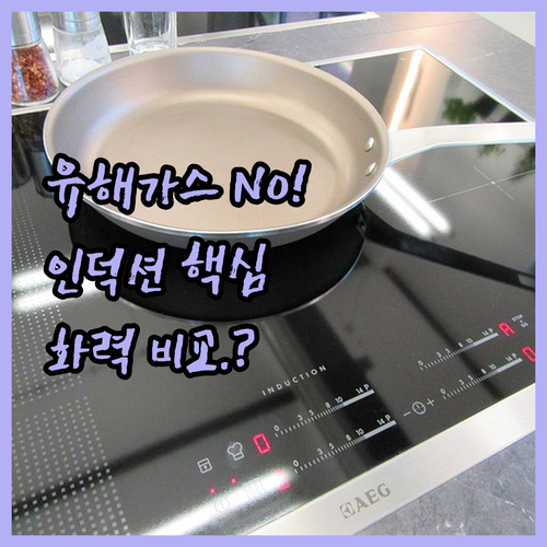 유해가스 없는 인덕션 전기레인지 추천..