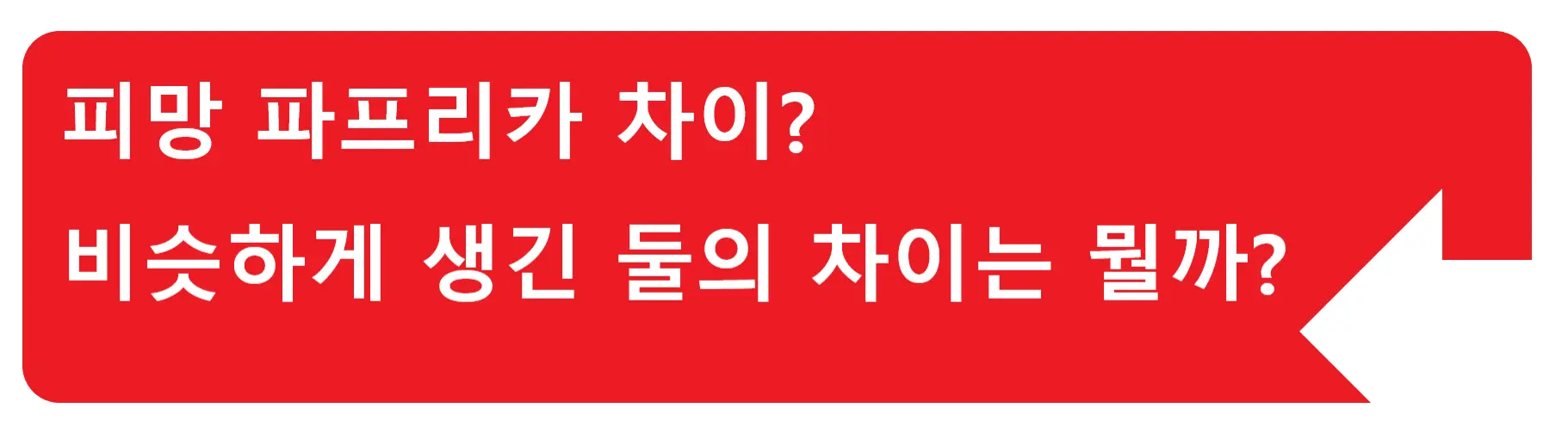 도토리 상수리 차이점? 비슷하게 생겼는데 다 도토리 아닌가요?