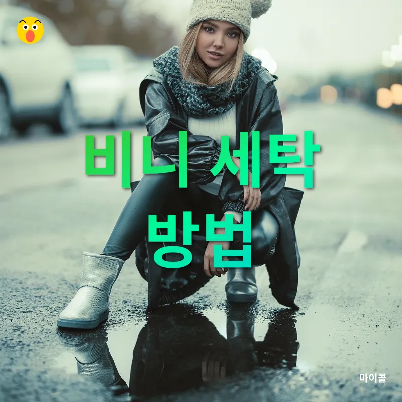 겨울철 비니 관리_1