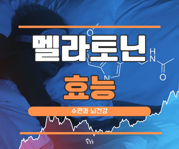 멜라토닌 효능