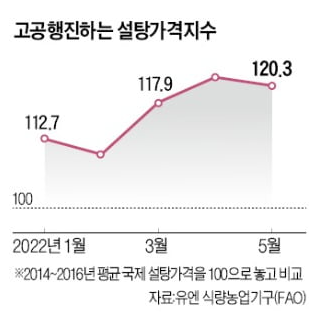 설탕