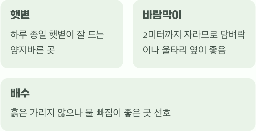 가장 중요한 첫 단추, '심는 장소'