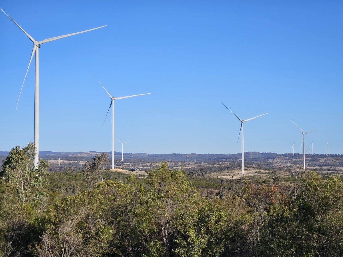 호주 맥킨타이어 풍력발전소 전경.