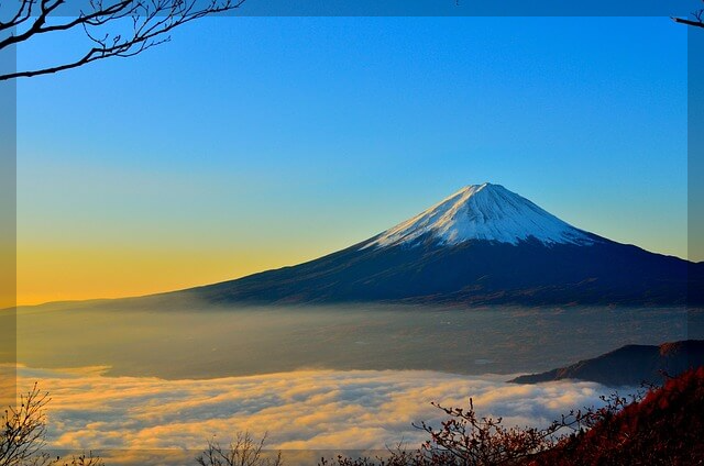 비짓재팬 웹에서 동반 가족 등록하는 방법 &ndash; 단계별 가이드