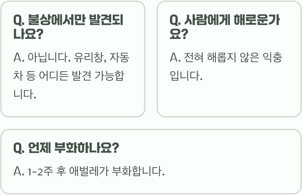 집에 핀 우담바라꽃&amp;#44; 감동하기 전에 꼭 확인해야 할 진실
