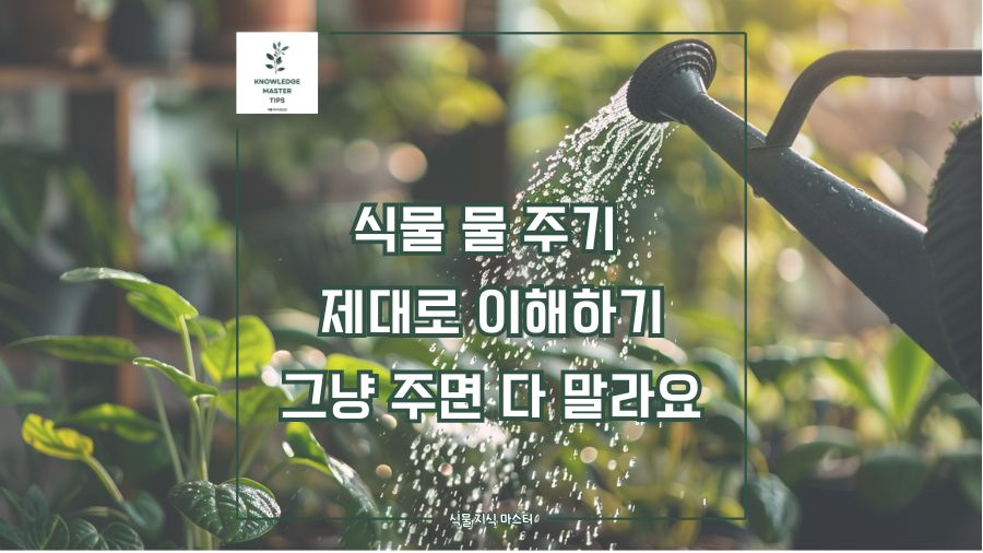식물 물 주기 제대로 이해하기, 그냥 주면 다 말라요