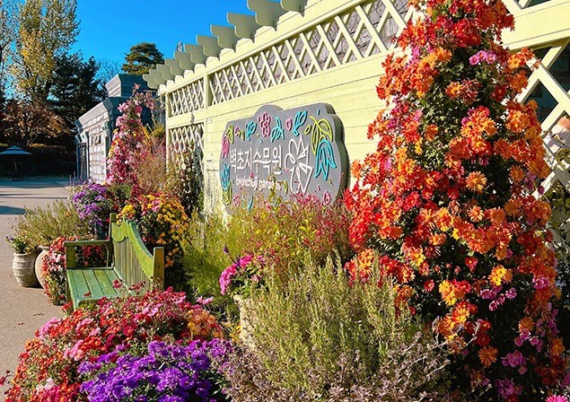 파주 벽초지 수목원 수국