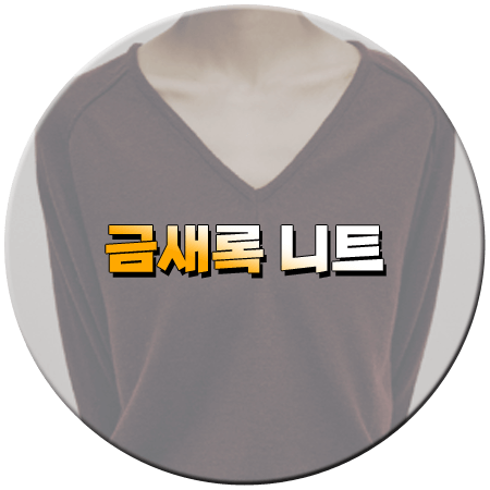 다리미 패밀리 13회 금새록 니트