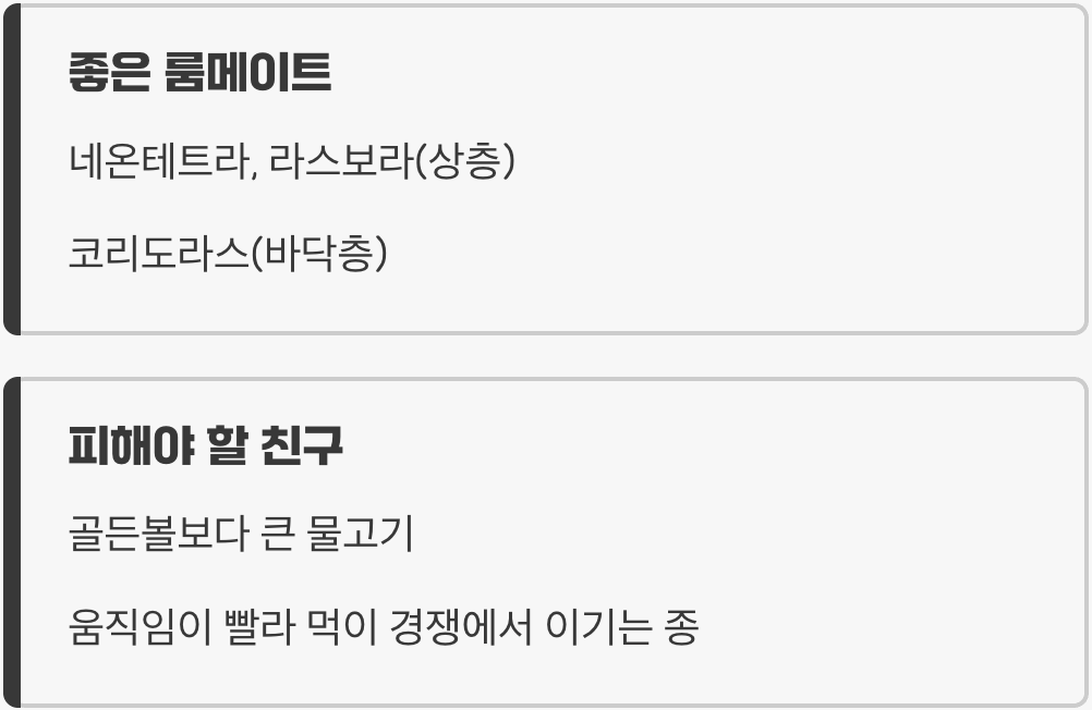 친구 만들어주기 - '온순한 룸메이트' 찾기