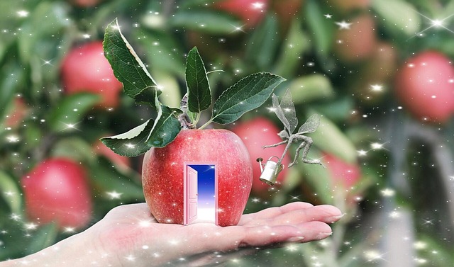 아시아 판타지 소설의 강자, 중국 작가 분석