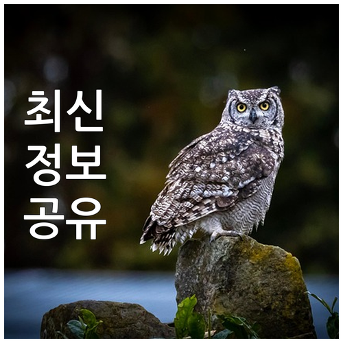 2025년 양주시 초등 입학 축하금:..