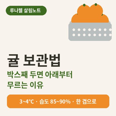 귤 보관법 박스째 두면 아래부터 무르는 이유